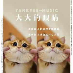 大大的眼睛 Cover by Something In Your Eyes