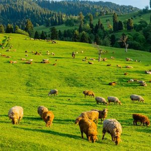 只想和你一起分享