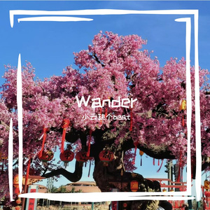 Wander