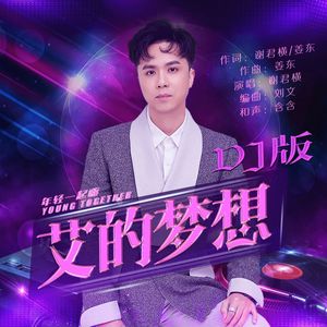 艾的梦想(DJ版伴奏）