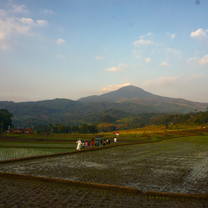 KEBERAGAMAN KEBERSAMAAN