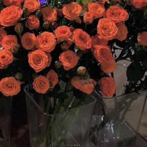 TOCC（prod by Lisure）