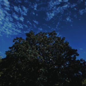 Idea 33 雨后.wav