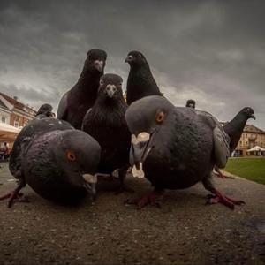 6Foot 7Foot (feat. Luh $ix)