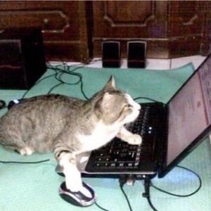 NewJazz x House x Jersey Club x delphia! type beat