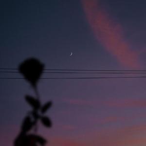 照片（cover：单依纯）