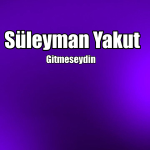Gitmeseydin