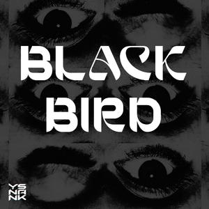 Black Bird