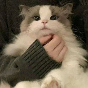 F**kin' Problems (slowed)