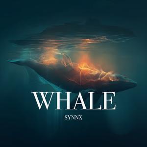 Whale