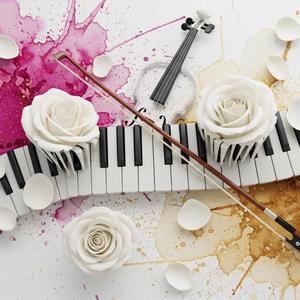 JOYEUX ANNIVERSAIRE, MA BELLE !