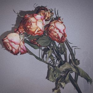 迷雾（prod.by Morrow）
