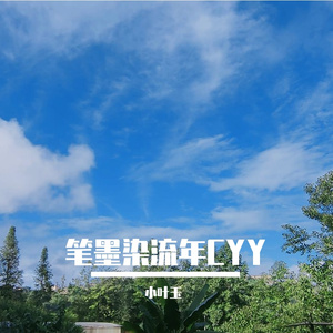 笔墨染流年CYY