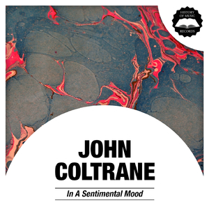 My Little Brown Book