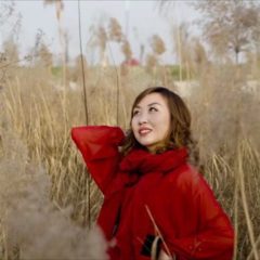 梨山痴情花