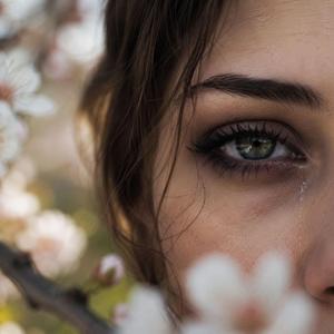 Der Blick