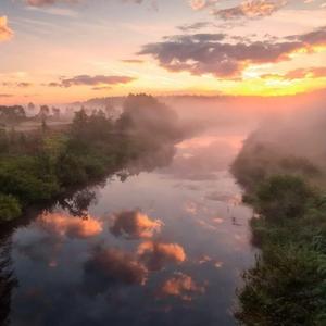 要什么避风港 钞票才是梦想 (Remix)