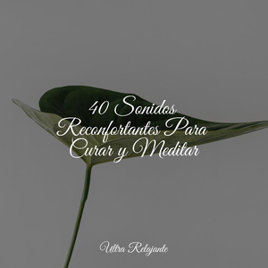 Velas De Viento en El Horizonte