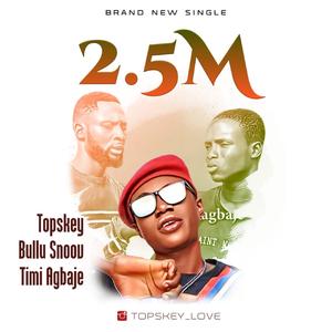 2.5M (feat. Bullu Snoov & Timi Agbaje)