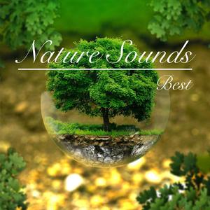 自然音 - 春の川のせせらぎ-（Short Ver.）