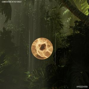 COMPUTATIONS IN THE FOREST