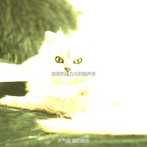 精彩压力大的猫环境