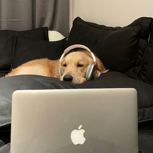 Q鼓系列第二期-飞法法