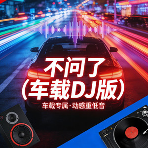 不问了（车载DJ版）.mp3