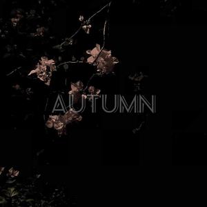 LJY-Autumn （秋）（Wang Yl remix）