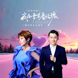 我在雪里看玫瑰 (DJ版)