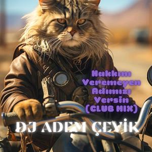 HAKKINI VEREMEYEN ADIMIZI VERSİN