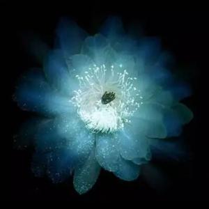 此生（完整版）