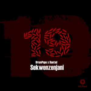 SEKWENZENJANI