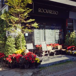 咖啡与街景的耳机旋律