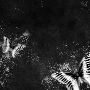 梦雨（prod.by MORROW)