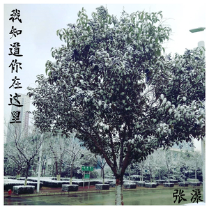 我知道你在这里