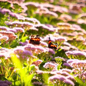 Theme Of Exodus（钢琴版）