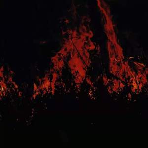 “向死而生”（prod by.SamueWang）