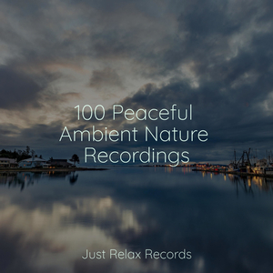 Whispers of Faerie Glen