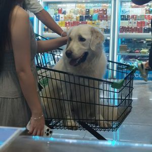 音频提取_042457_track1