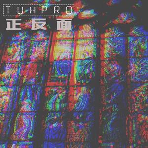 我养了一只猫 (剪辑版)