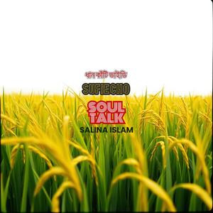 ধান কাঁটি ভাইডি