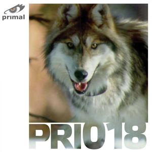 Beyond The Sound (Pavliga Remix)