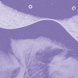 レガートでもう一度