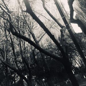 你（Prod. by SAXON)