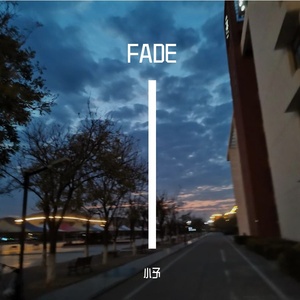 Alan Walker-Fade（无敌大帅哥杨子轩 remix）