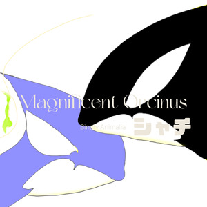 Magnificent Orcinus シャチ