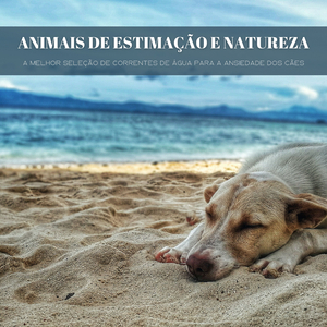 Depois De Um Longo Dia De Jogo