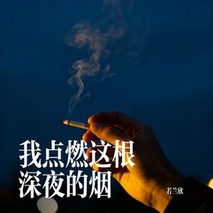 我点燃这根深夜的烟