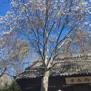 天长地久有没有